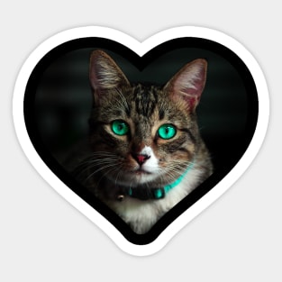 cat shirt Sticker